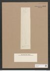 Pleurosigma sp. (de-Toni-Nr.: Genus 13) Zeichnungen Sammlung Grunow Nr. 2176 (NHMW-BOT-W0369240)